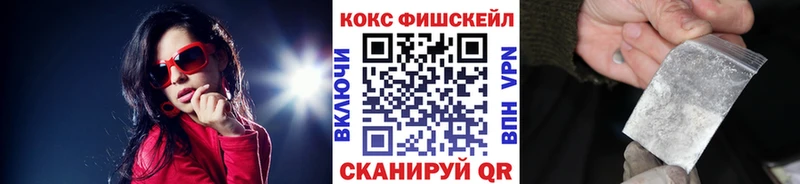 Купить закладки  Сатка  COCAIN Fish Scale 