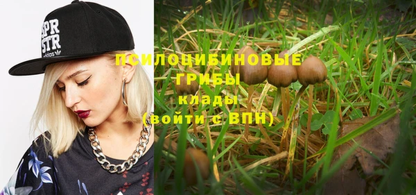 спайс Козловка