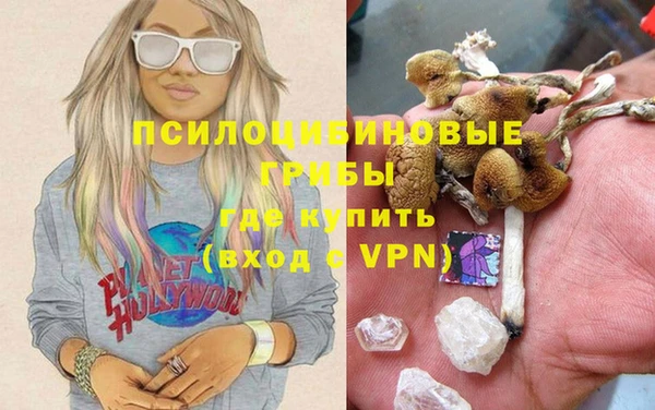 амф Козельск