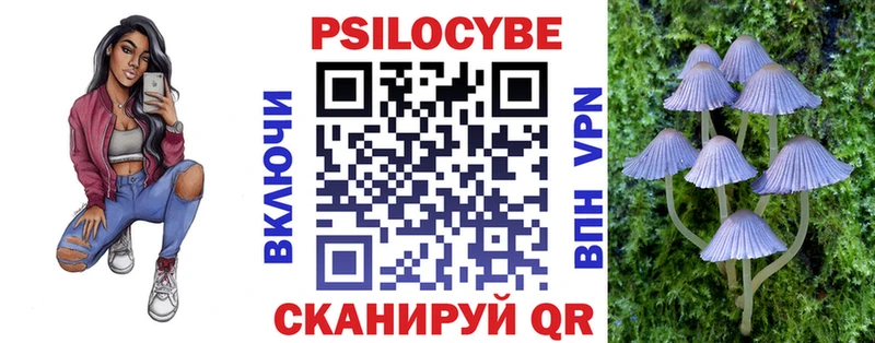 Купить  Сатка  Псилоцибиновые грибы Psilocybine cubensis 